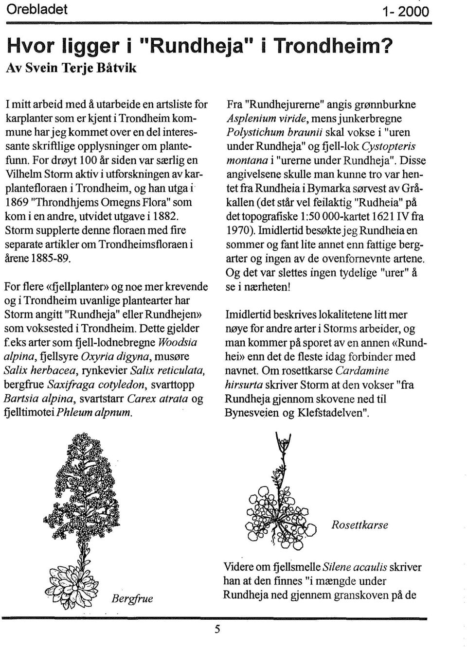 For drøyt 100 år siden var særlig en Vilhehn Storm aktiv i utforskningen av karplantetloraen i Trondheim, og han utga i' 1869 "Throndhjems Omegns Flora" som kom i en andre, utvidet utgave i 1882.