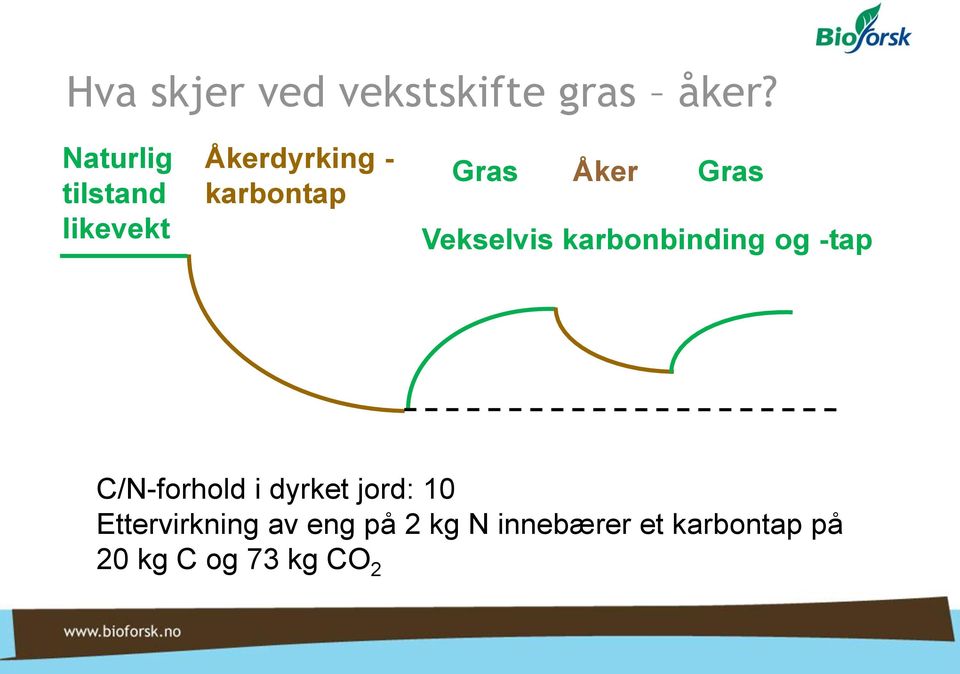 Gras Vekselvis karbonbinding og -tap C/N-forhold i dyrket