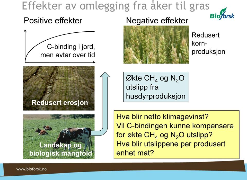 mangfold Økte CH 4 og N 2 O utslipp fra husdyrproduksjon Hva blir netto klimagevinst?