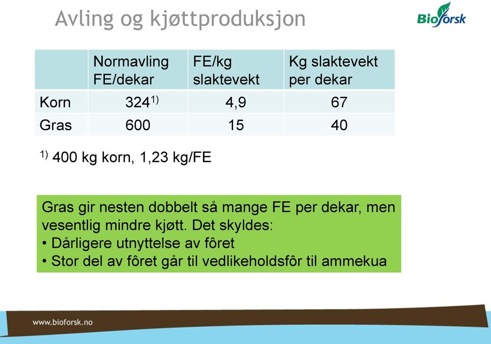 nesten dobbelt så mange FE per dekar, men vesentlig mindre kjøtt.