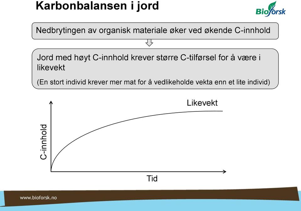 krever større C-tilførsel for å være i likevekt (En stort