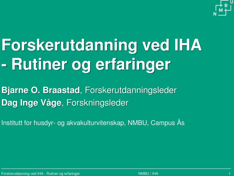 Braastad, Forskerutdanningsleder Dag Inge