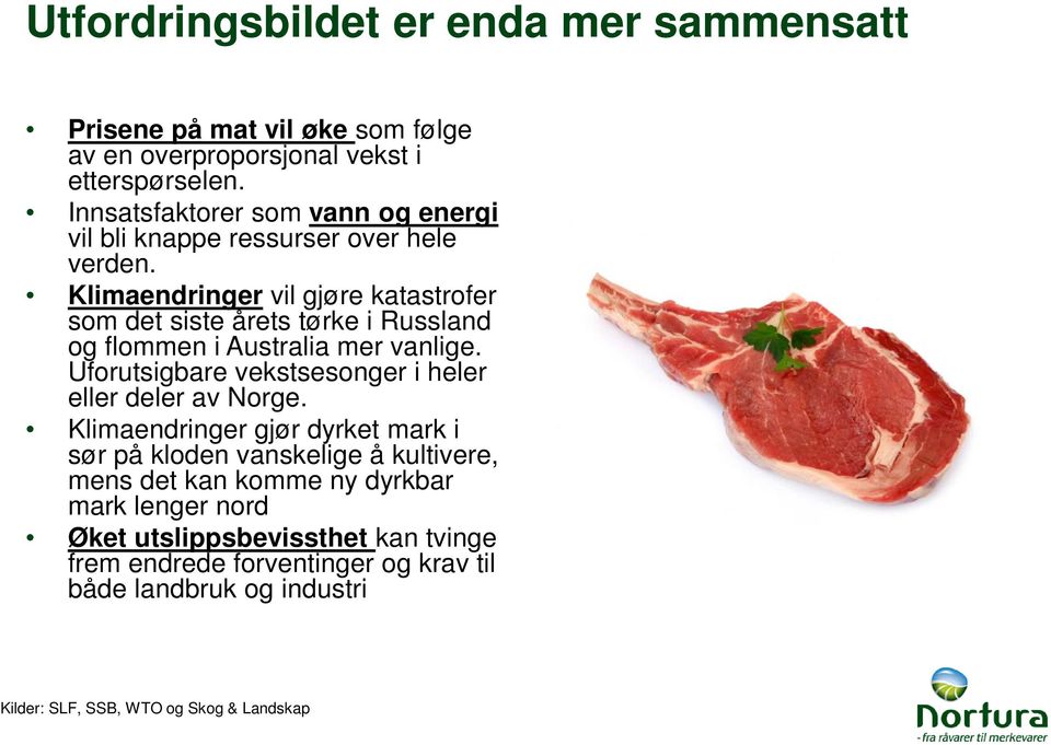 Klimaendringer vil gjøre katastrofer som det siste årets tørke i Russland og flommen i Australia mer vanlige.