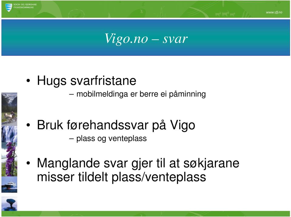 Vigo plass og venteplass Manglande svar gjer