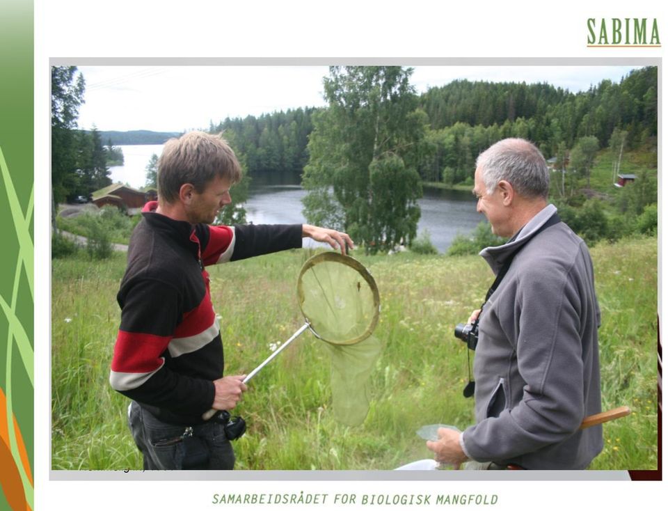 De eter og spytter ut, spytter ut og eter, for de har ingen strupe mer, bare en diger kjeft og en rumlende mave. Er dette et slags helvete? For vadefugler?