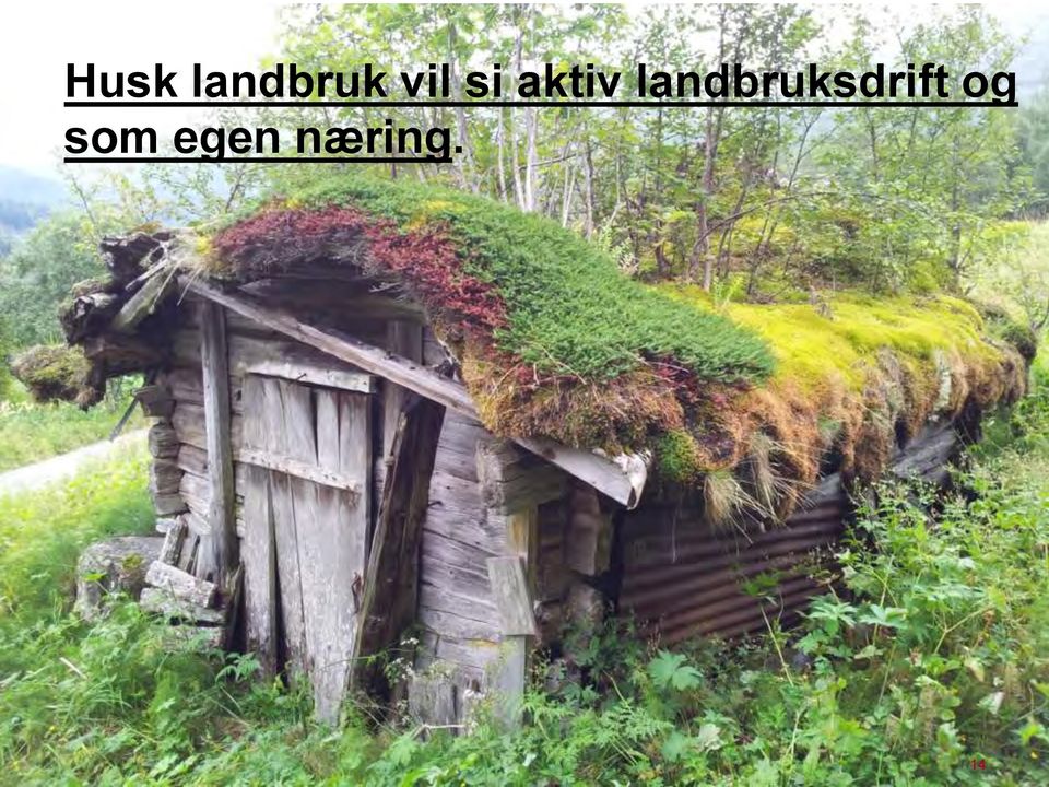 landbruksdrift