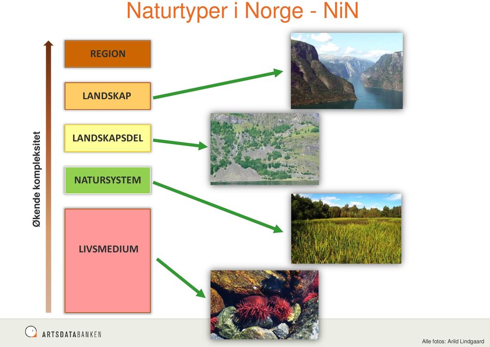 kompleksitet LANDSKAPSDEL