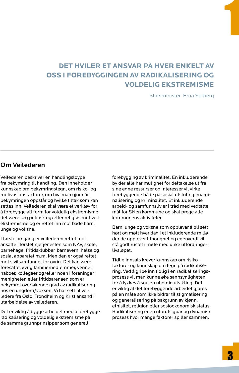 Veilederen skal være et verktøy for å forebygge all form for voldelig ekstremisme det være seg politisk og/eller religiøs motivert ekstremisme og er rettet inn mot både barn, unge og voksne.