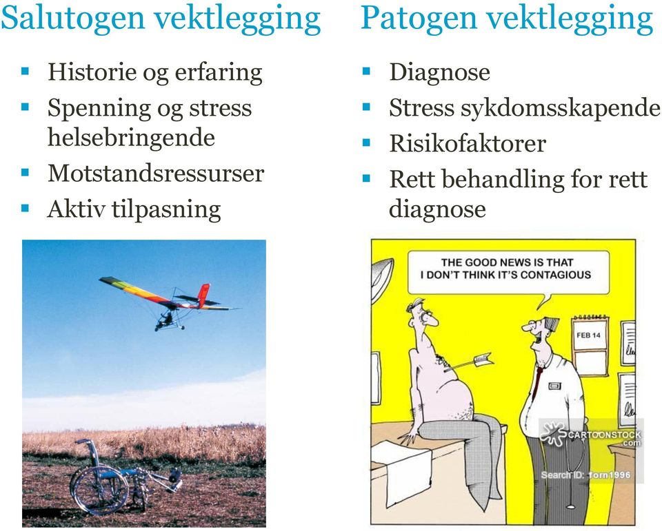 tilpasning Patogen vektlegging Diagnose Stress