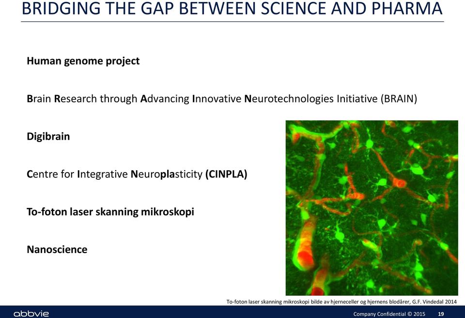 Integrative Neuroplasticity (CINPLA) To-foton laser skanning mikroskopi Nanoscience