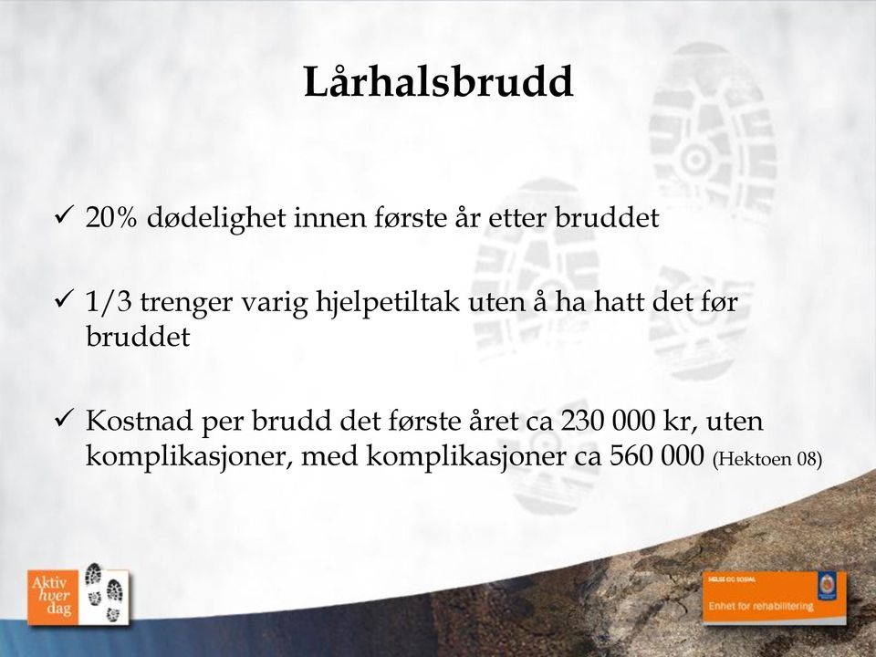 bruddet Kostnad per brudd det første året ca 230 000 kr,