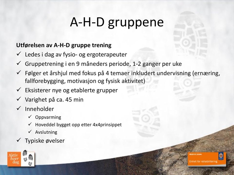 undervisning (ernæring, fallforebygging, motivasjon og fysisk aktivitet) Eksisterer nye og etablerte