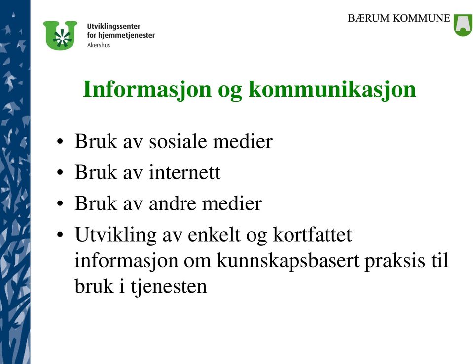 Utvikling av enkelt og kortfattet informasjon