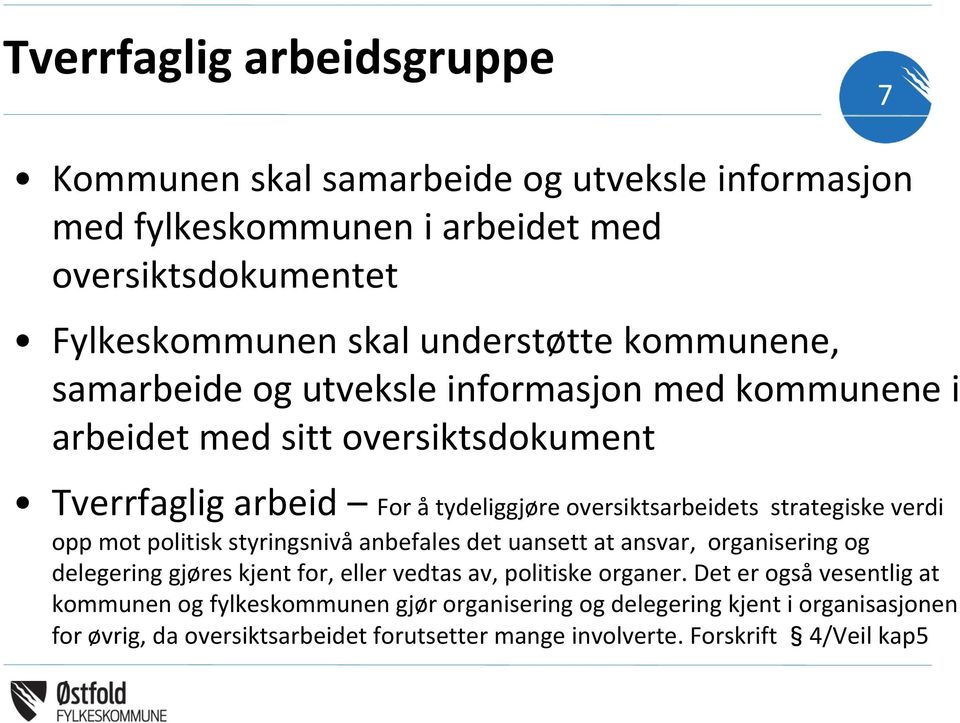 verdi opp mot politisk styringsnivå anbefales det uansett at ansvar, organisering og delegering gjøres kjent for, eller vedtas av, politiske organer.