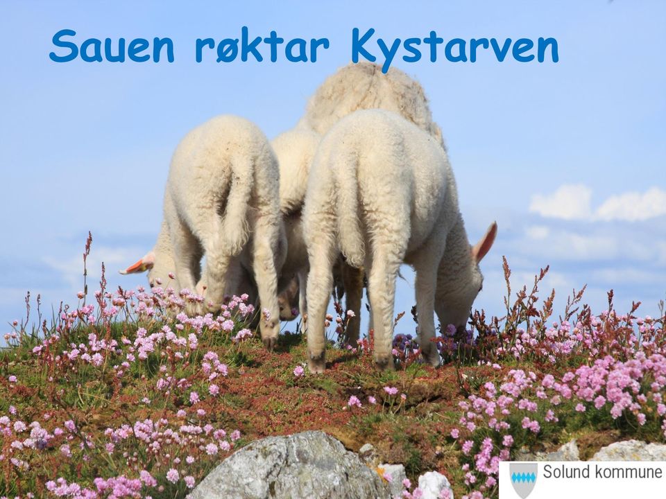 Kystarven