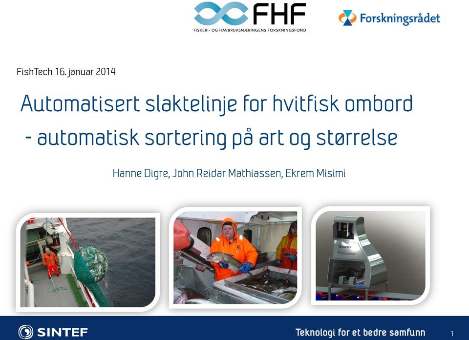 hvitfisk ombord - automatisk sortering