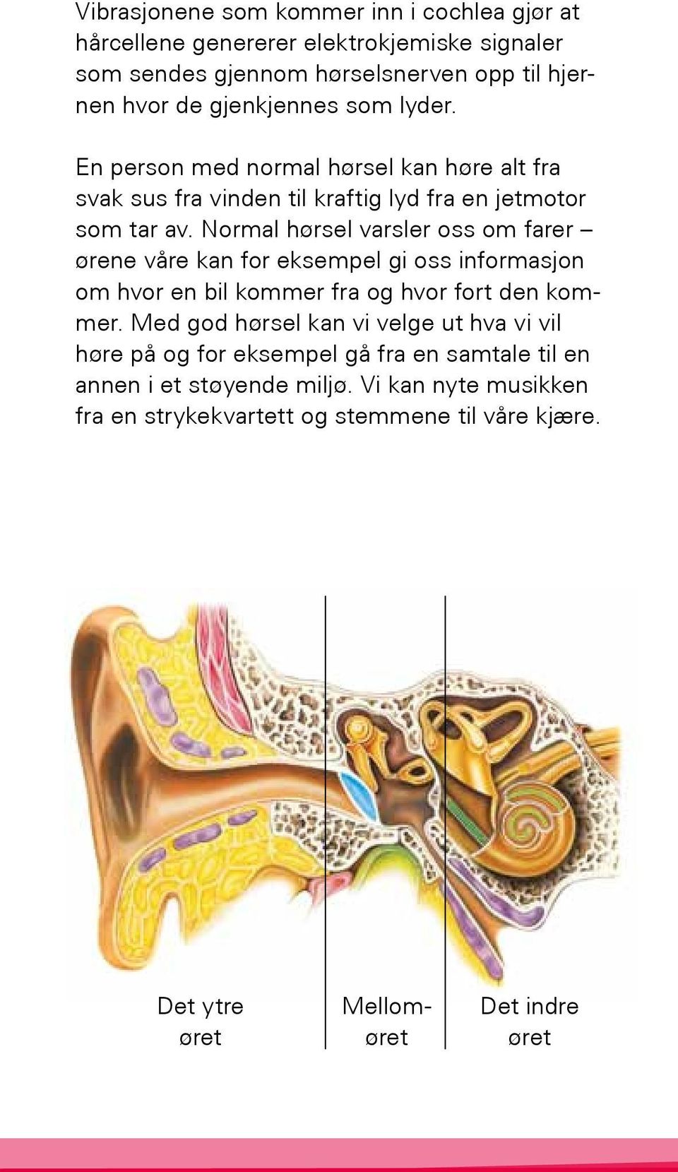 Normal hørsel varsler oss om farer ørene våre kan for eksempel gi oss informasjon om hvor en bil kommer fra og hvor fort den kommer.