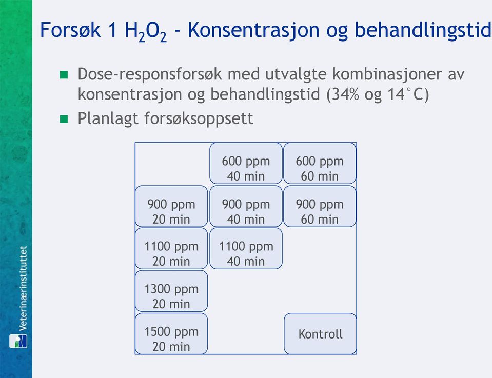 Planlagt forsøksoppsett 900 ppm 20 min 1100 ppm 20 min 1300 ppm 20 min 1500 ppm