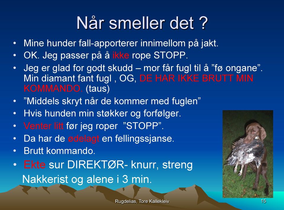 (taus) Middels skryt når de kommer med fuglen Hvis hunden min støkker og forfølger. Venter litt før jeg roper STOPP.