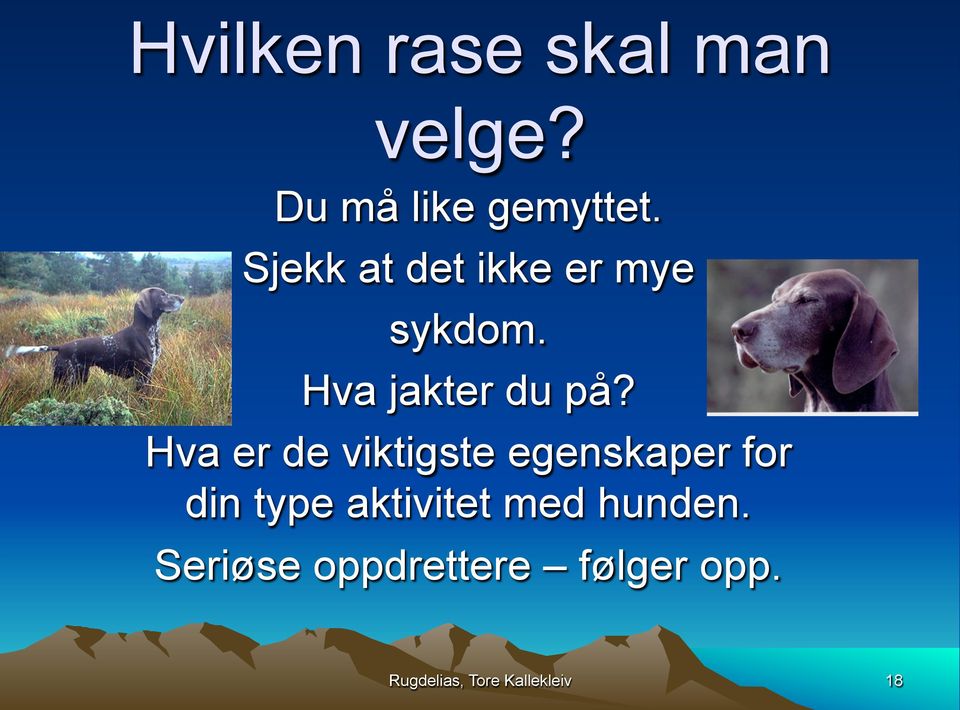 Hva er de viktigste egenskaper for din type aktivitet