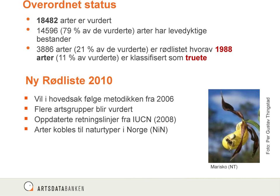 er klassifisert som truete Ny Rødliste 2010 Vil i hovedsak følge metodikken fra 2006 Flere artsgrupper