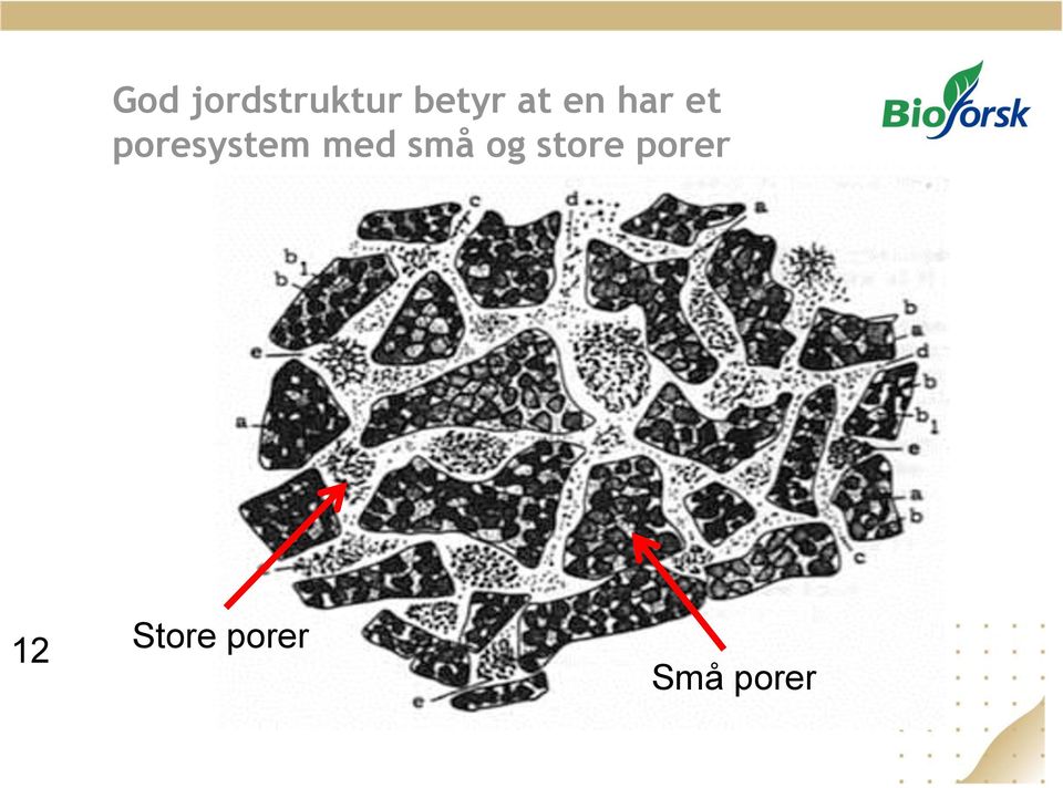 med små og store porer