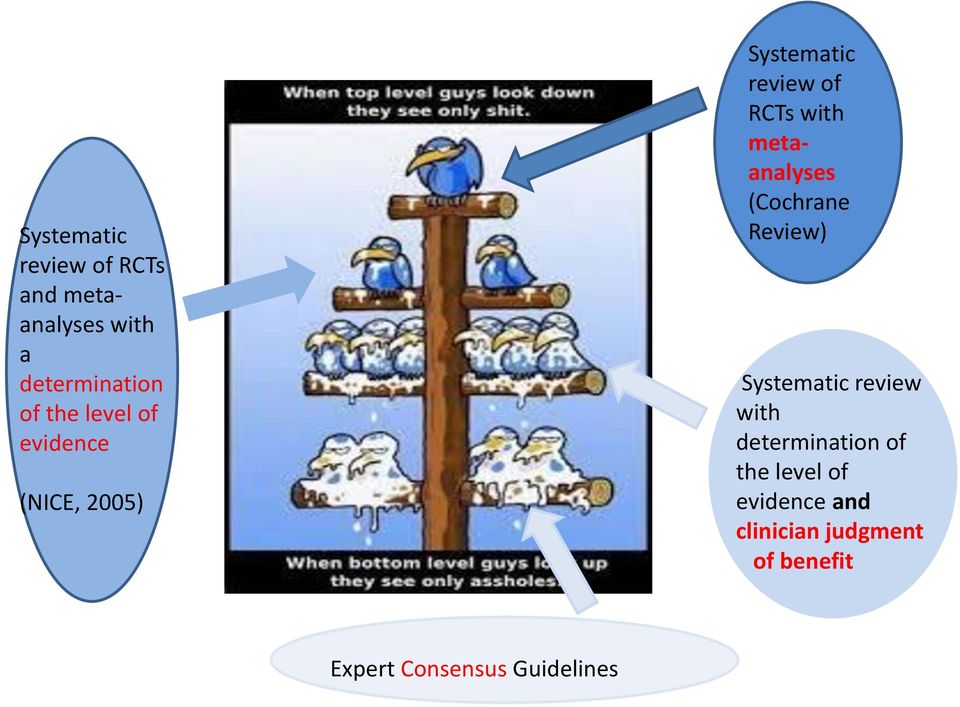 metaanalyses (Cochrane Review) Systematic review with determination of