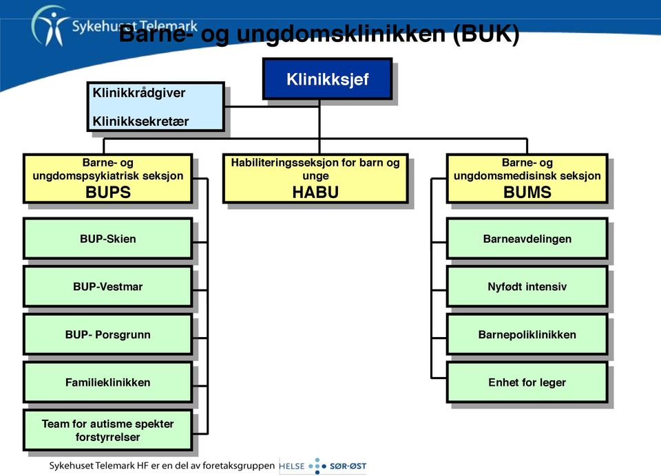 ungdomsmedisinsk seksjon BUMS BUP-Skien Barneavdelingen BUP-Vestmar Nyfødt intensiv BUP-