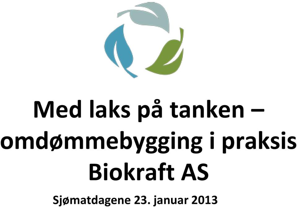 praksis Biokraft AS