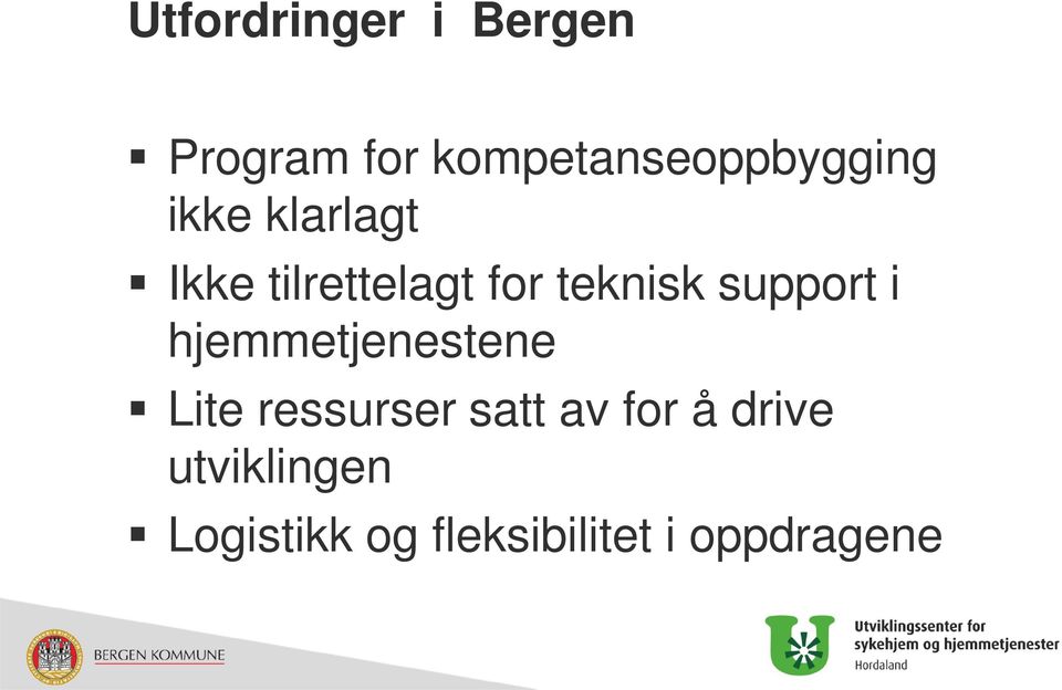 for teknisk support i hjemmetjenestene Lite