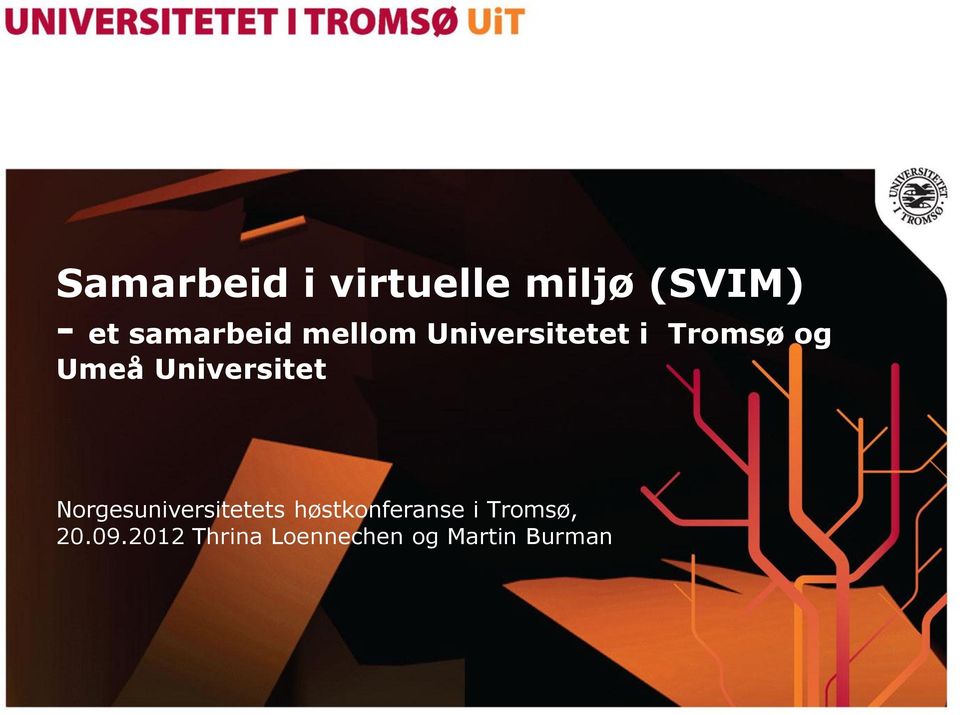 Umeå Universitet Norgesuniversitetets