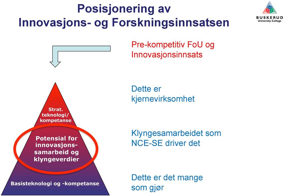 teknologi/ kompetanse Potensial for innovasjonssamarbeid og klyngeverdier