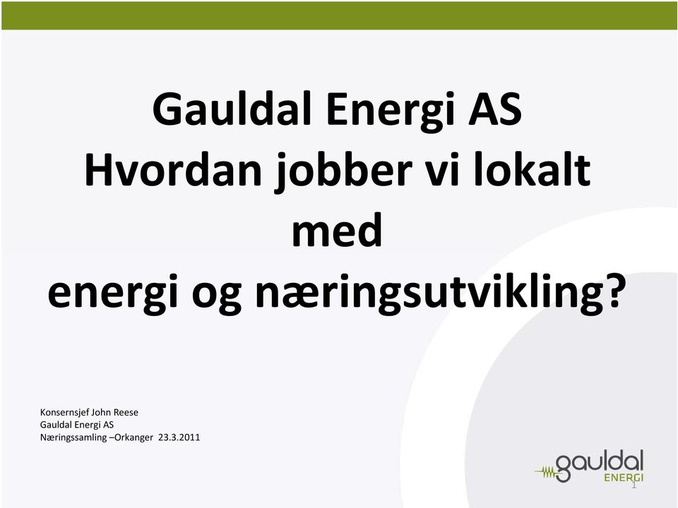 Konsernsjef John Reese Gauldal Energi