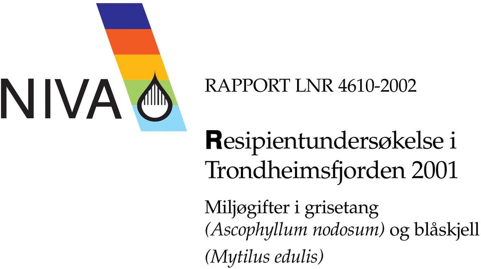 Trondheimsfjorden Miljøgifter i
