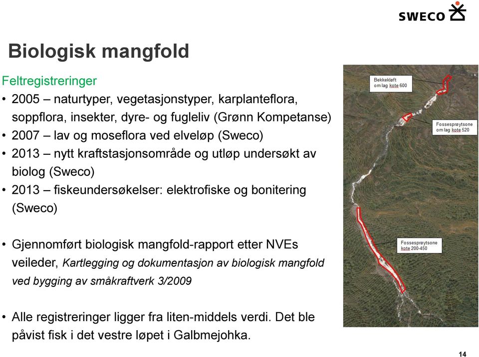 fiskeundersøkelser: elektrofiske og bonitering (Sweco) Gjennomført biologisk mangfold-rapport etter NVEs veileder, Kartlegging og