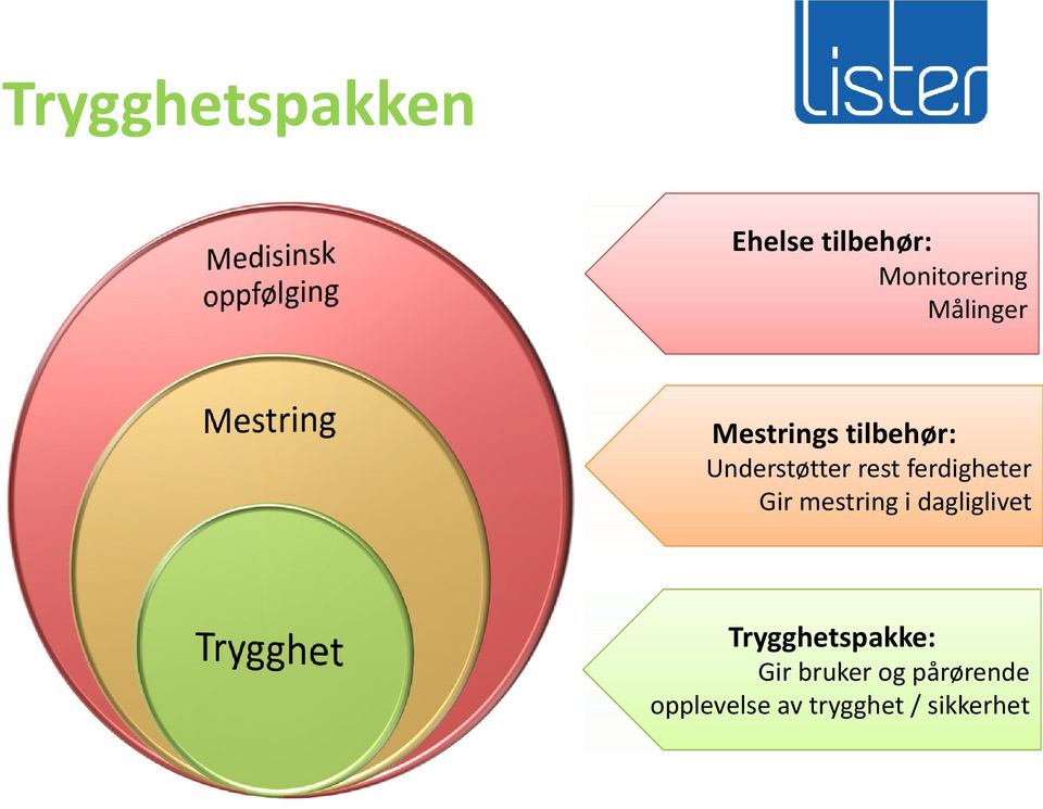 ferdigheter Gir mestring i dagliglivet