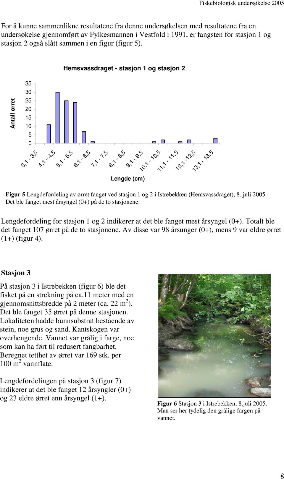 Hemsvassdraget - stasjon 1 og stasjon 2 35 3 25 2 15 1 5 3,1-3,5 4,1-4,5 5,1-5,5 6,1-6,5 7,1-7,5 8,1-8,5 9,1-9,5 1,1-1,5 11,1-11,5 12,1-12,5 13,1-13,5 Figur 5 Lengdefordeling av ørret fanget ved