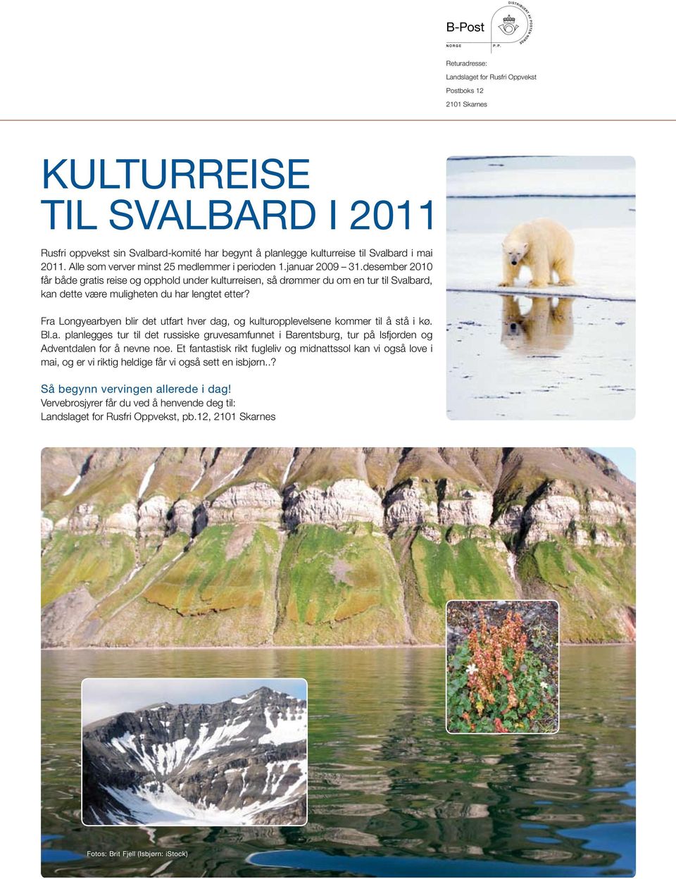 desember 2010 får både gratis reise og opphold under kulturreisen, så drømmer du om en tur til Svalbard, kan dette være muligheten du har lengtet etter?