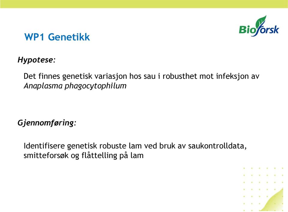 Gjennomføring: Identifisere genetisk robuste lam ved bruk