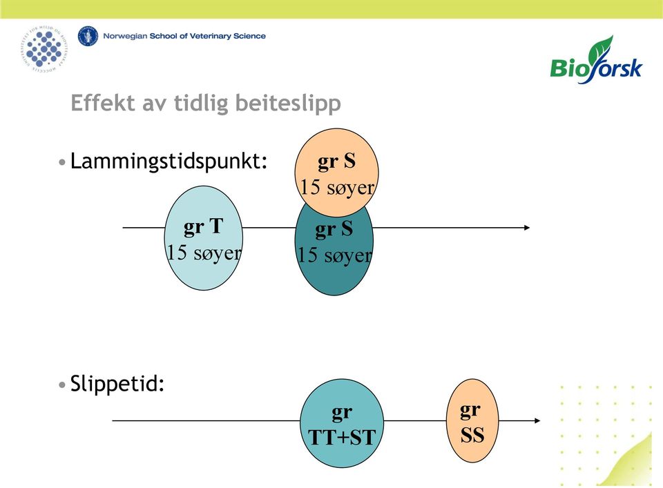 søyer gr S 15 søyer gr S 15