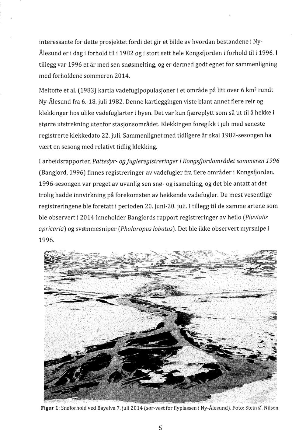 (1983) kartla vadefuglpopulasjoner i et omrâde på litt over 6 kmzrundt Ny-Ålesund fra 6-18. juli 1982. Denne kartleggingen viste blant annet flere reir og klekkinger hos ulike vadefuglarter i byen.