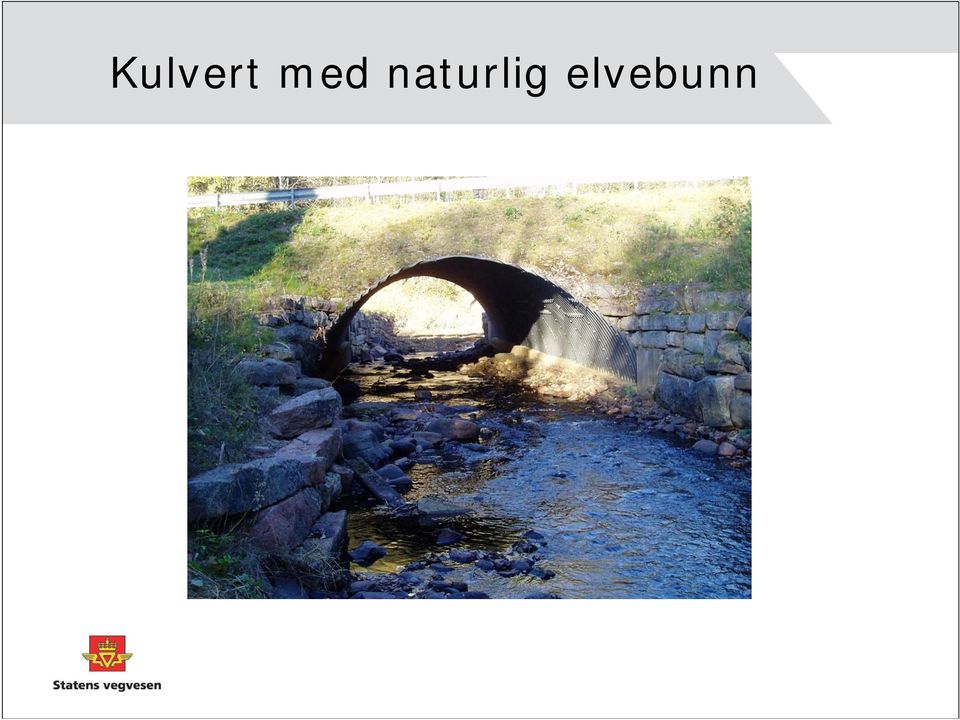 naturlig