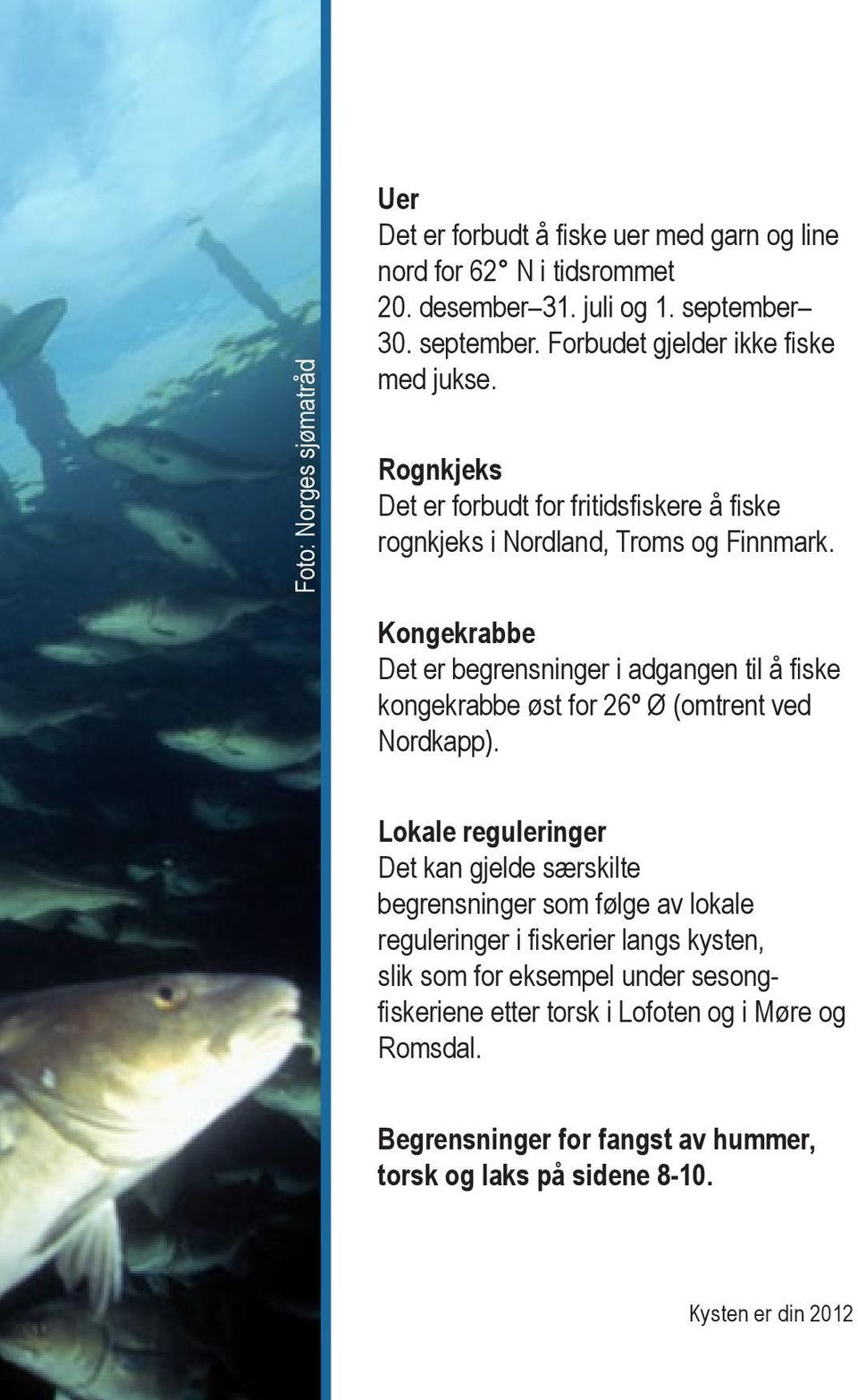 Kongekrabbe Det er begrensninger i adgangen til å fiske kongekrabbe øst for 26º Ø (omtrent ved Nordkapp).