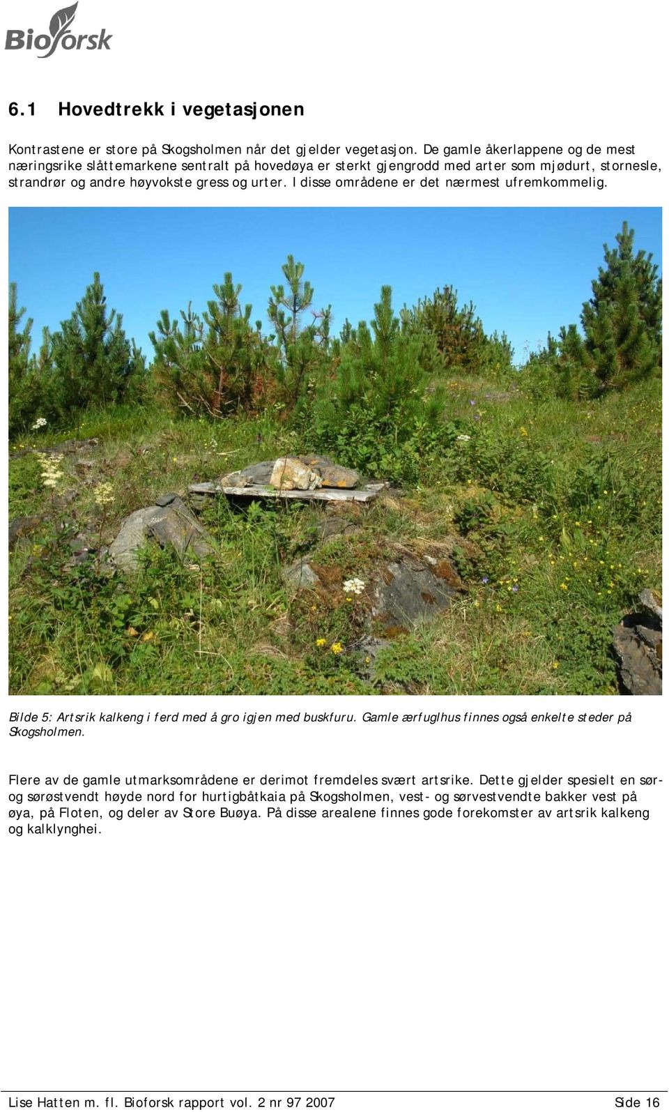 I disse områdene er det nærmest ufremkommelig. Bilde 5: Artsrik kalkeng i ferd med å gro igjen med buskfuru. Gamle ærfuglhus finnes også enkelte steder på Skogsholmen.
