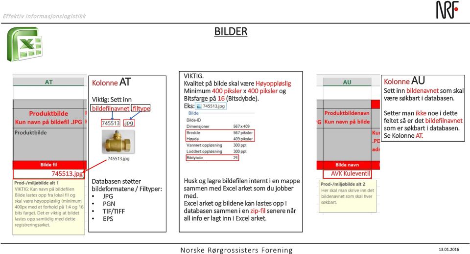 Eks: Kolonne AU Sett inn bildenavnet som skal være søkbart i databasen. Setter man ikke noe i dette feltet så er det bildefilnavnet som er søkbart i databasen.