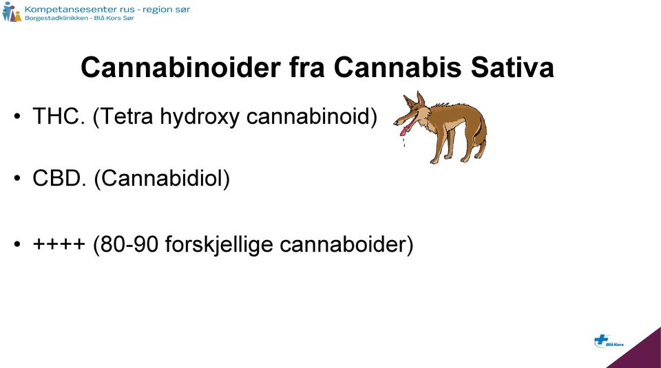 (Tetra hydroxy cannabinoid)