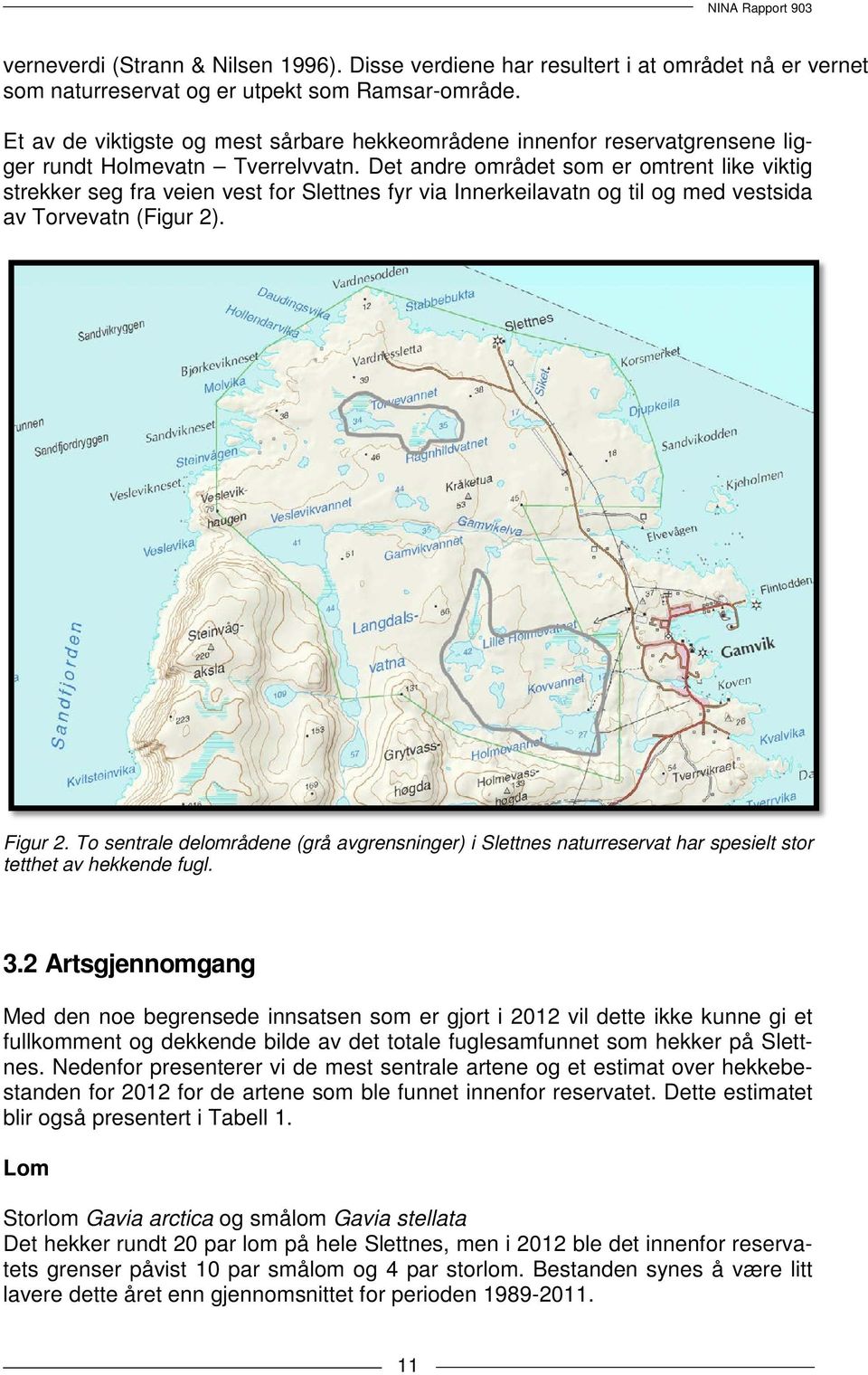 Det andre området som er omtrent like viktig strekker seg fra veien vest for Slettnes fyr via Innerkeilavatn og til og med vestsida av Torvevatn (Figur 2). Figur 2.