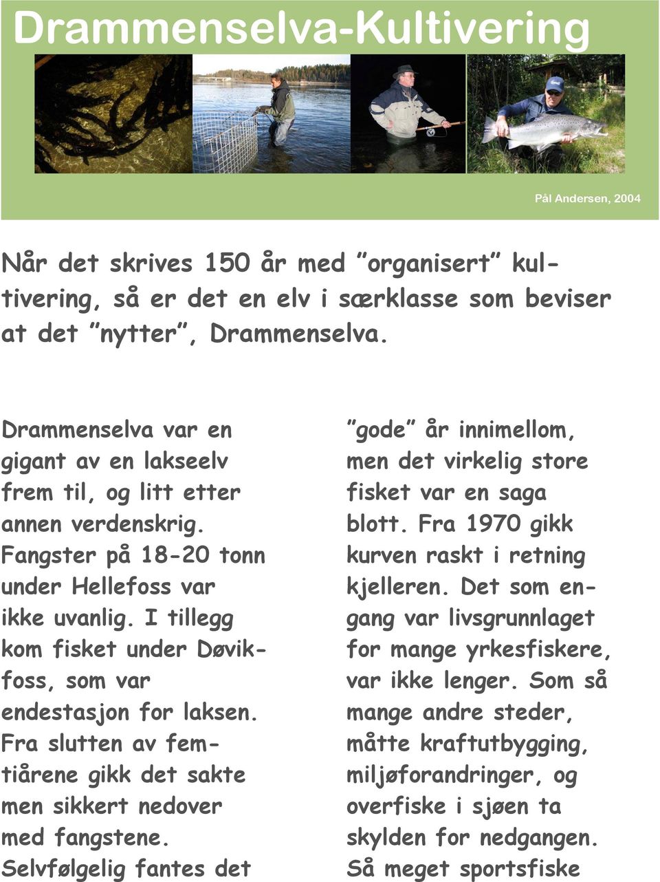I tillegg kom fisket under Døvikfoss, som var endestasjon for laksen. Fra slutten av femtiårene gikk det sakte men sikkert nedover med fangstene.