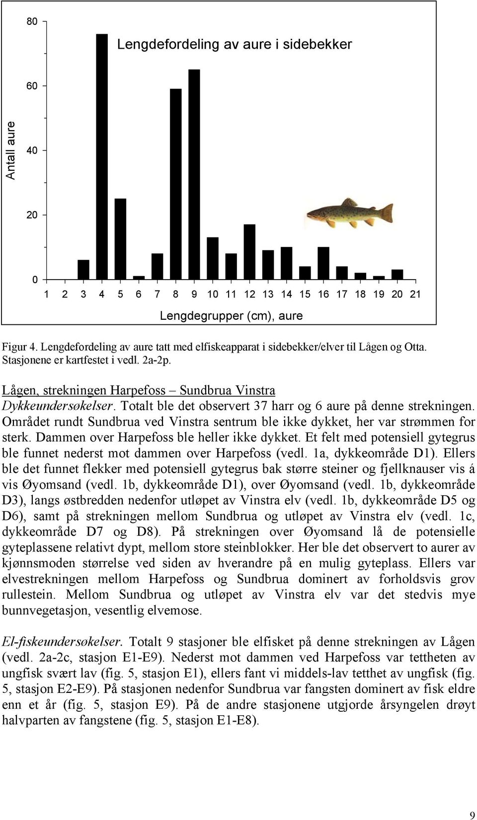 Totalt ble det observert 37 harr og 6 aure på denne strekningen. Området rundt Sundbrua ved Vinstra sentrum ble ikke dykket, her var strømmen for sterk. Dammen over Harpefoss ble heller ikke dykket.