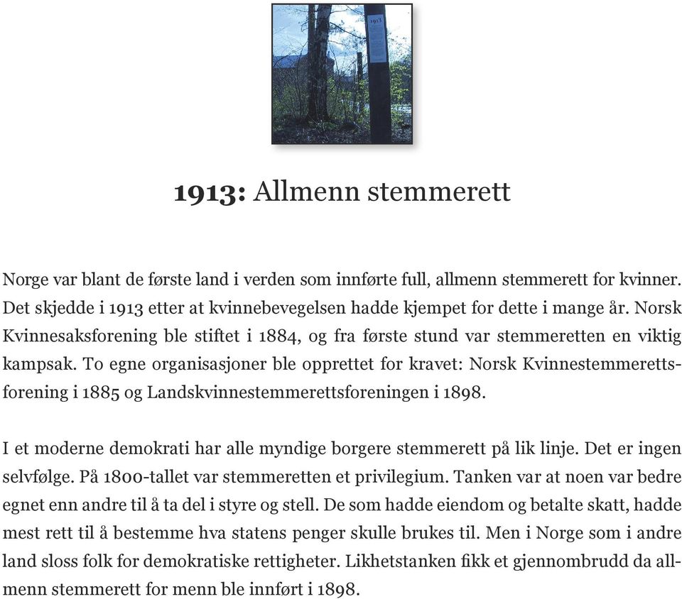 To egne organisasjoner ble opprettet for kravet: Norsk Kvinnestemmerettsforening i 1885 og Landskvinnestemmerettsforeningen i 1898.